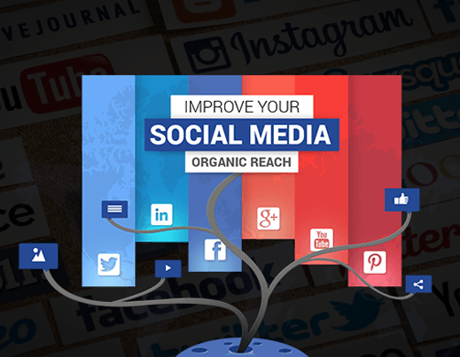 Social Media Brandings